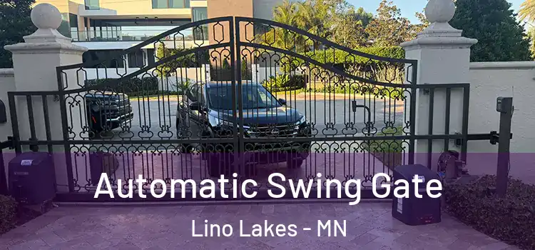 Automatic Swing Gate Lino Lakes - MN