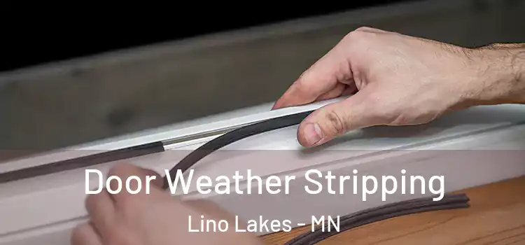 Door Weather Stripping Lino Lakes - MN
