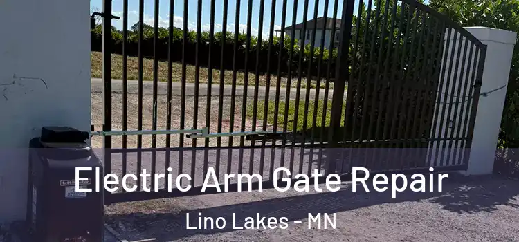 Electric Arm Gate Repair Lino Lakes - MN