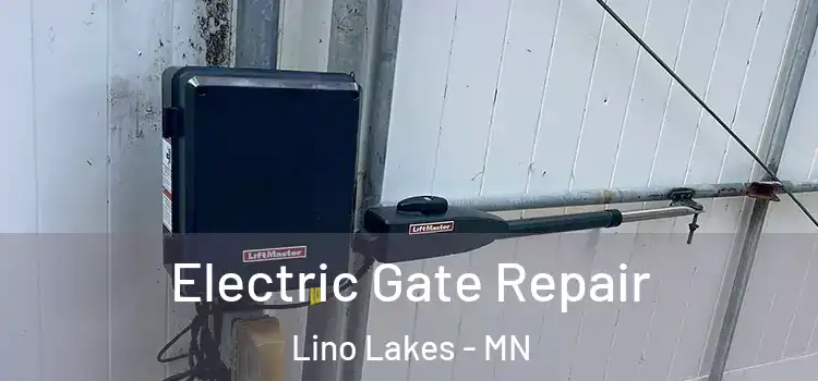  Electric Gate Repair Lino Lakes - MN