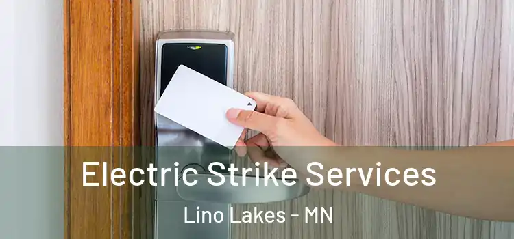 Electric Strike Services Lino Lakes - MN