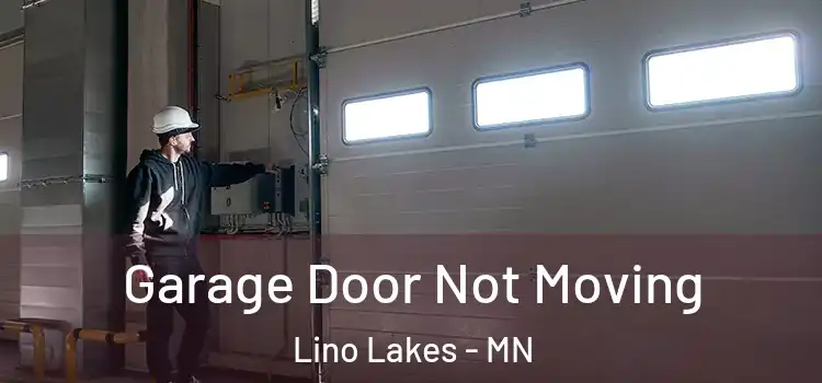  Garage Door Not Moving Lino Lakes - MN
