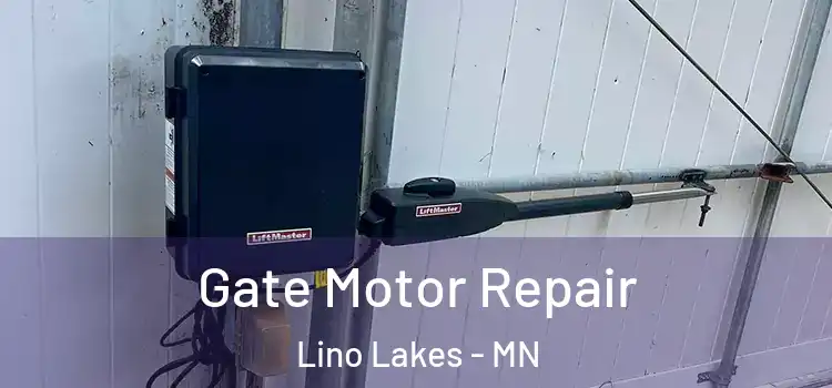 Gate Motor Repair Lino Lakes - MN