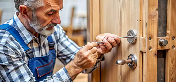 Mortise Replacement Lock Lino Lakes