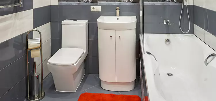 Hansgrohe Shaving Mirror Lino Lakes