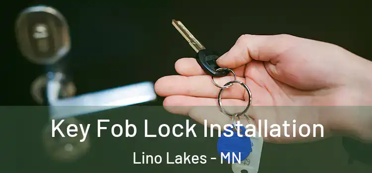  Key Fob Lock Installation Lino Lakes - MN