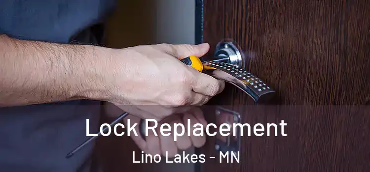 Lock Replacement Lino Lakes - MN