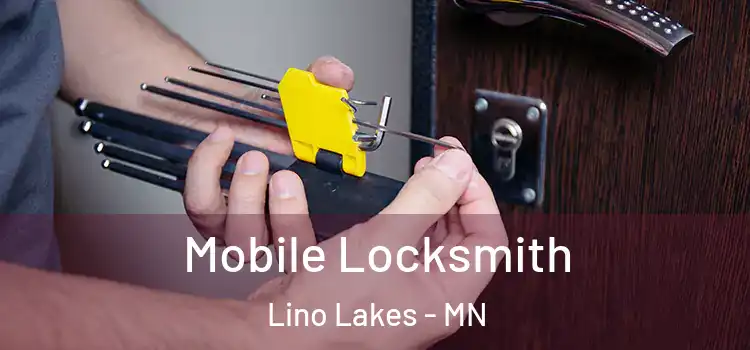 Mobile Locksmith Lino Lakes - MN