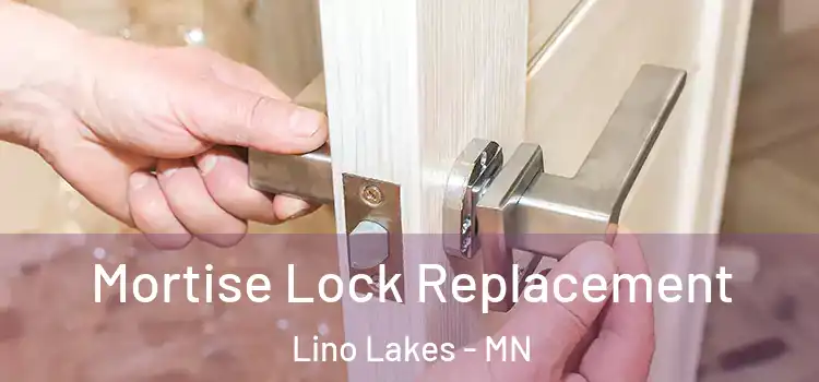  Mortise Lock Replacement Lino Lakes - MN