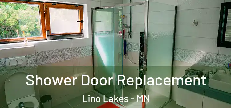  Shower Door Replacement Lino Lakes - MN